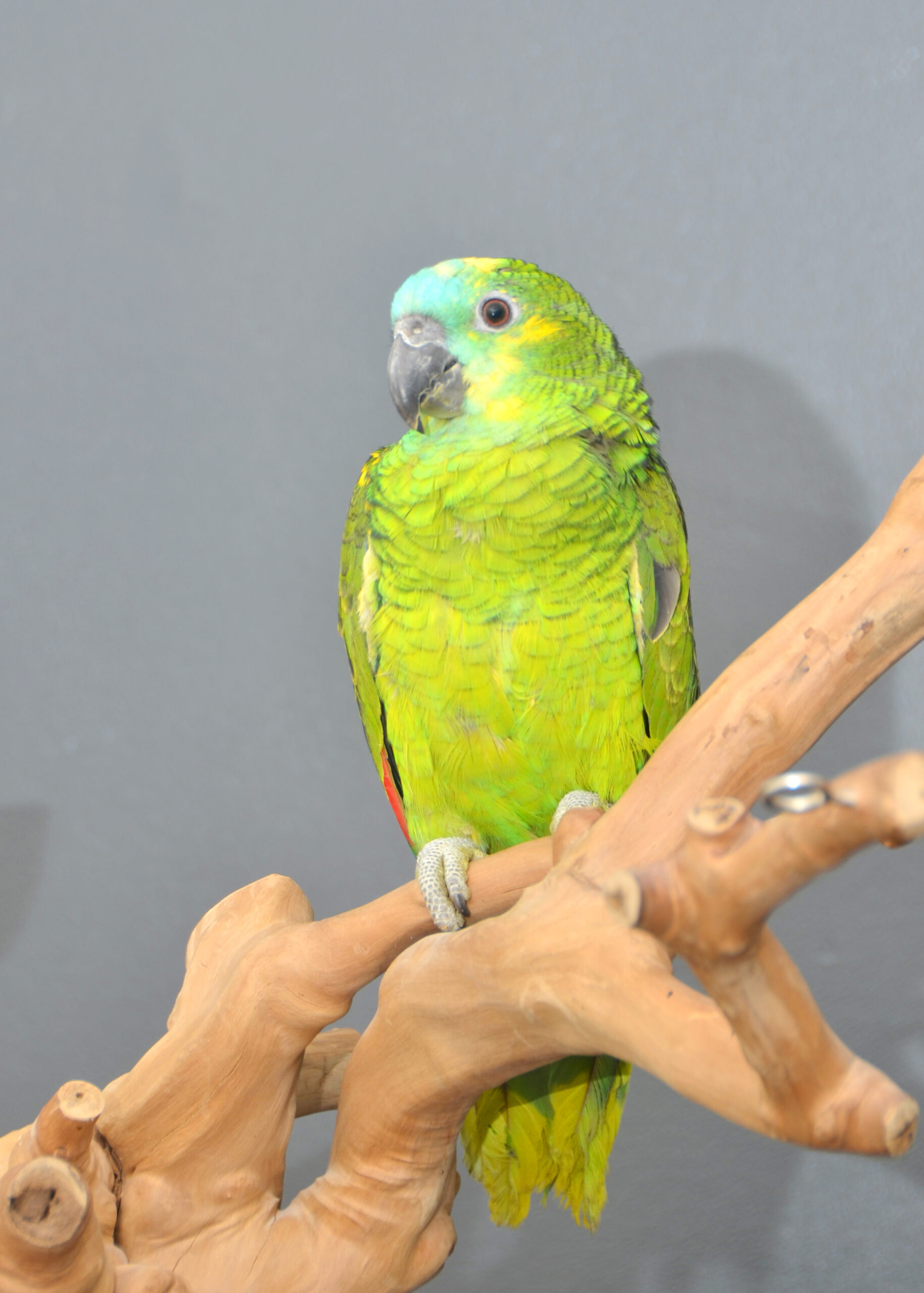 DSC_7734-scaled DSC_7734-scaled